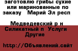 заготовлю грибы сухие или маринованные по заказу - Марий Эл респ., Медведевский р-н, Силикатный п. Услуги » Другие   